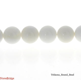 Tridacna Bead Strand from Stonebridge Imports