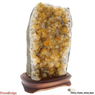Citrine Cluster On Wood Base Unique #16 - 10" Tall    from Stonebridge Imports