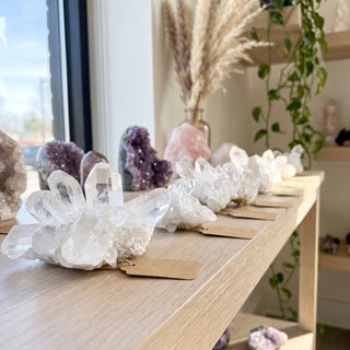 Natural clear quartz clusters in graduated sizes displayed on a white-oak shelf in a bright crystal boutique, with amethyst and rose quartz behind