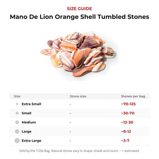 Mano De Lion Orange Shell Tumbled Stones from Stonebridge Imports