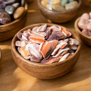 Mano De Lion Orange Shell Tumbled Stones from Stonebridge Imports