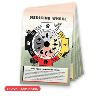 Medicine Wheel QuickStudy Guide laminated 5-pack, double-sided 160 x 240 mm