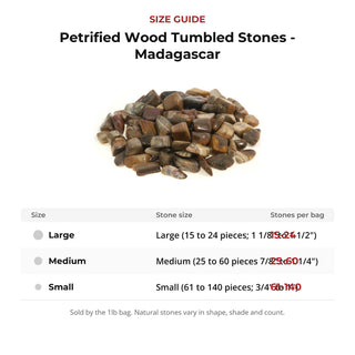 Petrified Wood Tumbled Stones - Madagascar from Stonebridge Imports