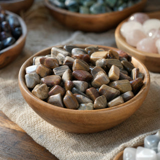 Petrified Wood Tumbled Stones - Madagascar from Stonebridge Imports