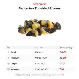 Septarian Tumbled Stones from Stonebridge Imports
