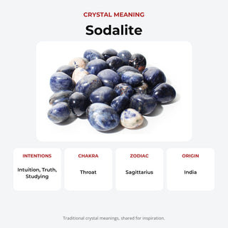Sodalite B Tumbled Stones - India crystal meaning: intentions, chakras, zodiac and origin