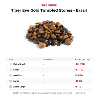 Tiger Eye Gold Tumbled Stones - Brazil from Stonebridge Imports