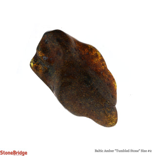 Amber Baltic Tumbled #2    from Stonebridge Imports
