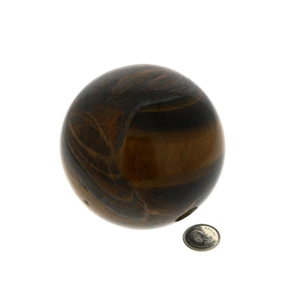 Tiger's Eye Sphere - Medium #4 - 3"    from Stonebridge Imports