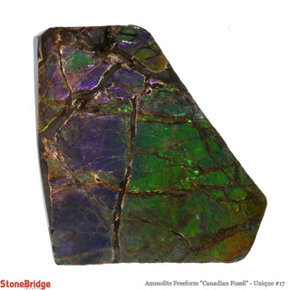 Ammolite Freeform Canadian Fossil U#17    from Stonebridge Imports