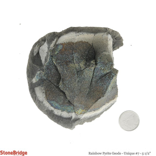 Rainbow Pyrite Geode U#7    from Stonebridge Imports