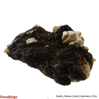 Orthoclase on Aegirine/ Zomba Malosa U#22    from Stonebridge Imports