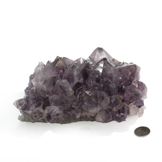 Amethyst Clusters #5 - 5" to 7"    from Stonebridge Imports