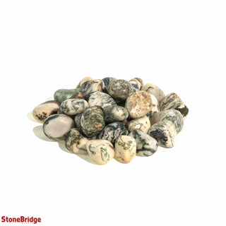 Green Tree Agate Tumbled Stones - India    from Stonebridge Imports