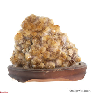 Citrine Cluster on Wood Base #6 - 10" (Enhanced) from Stonebridge Imports