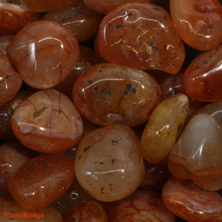 Carnelian B Tumbled Stones - Brazil    from Stonebridge Imports