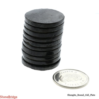 Shungite Cell Plate Round - 10 Pack    from Stonebridge Imports