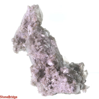 Inclusion Elestial Quartz Clusters #7 - 3 1/2"    from Stonebridge Imports