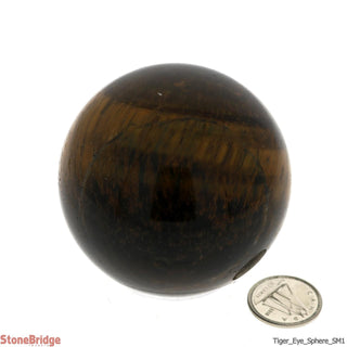 Tiger Eye Sphere - Small #1 - 2 1/4"    from Stonebridge Imports
