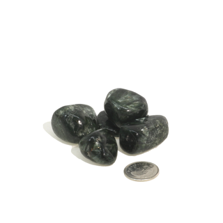 Seraphinite A Tumbled Stones    from Stonebridge Imports