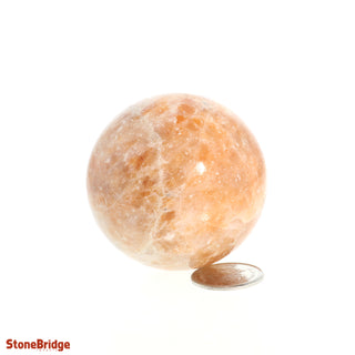 Calcite Orange Sphere - Extra Small #4 - 2"    from Stonebridge Imports