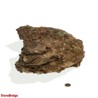 Apatite in Calcite Mineral Cluster Unique #1    from Stonebridge Imports