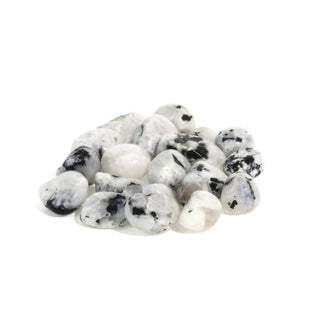 Rainbow Moonstone Tumbled Stones - India Medium   from Stonebridge Imports
