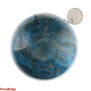 Apatite Blue Sphere - Small #4 - 2 1/2"    from Stonebridge Imports