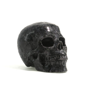 Gabbro Skull U#23    from Stonebridge Imports