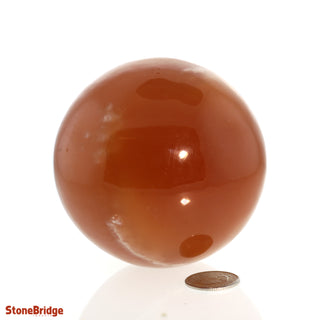 Calcite Honey Sphere - Medium #3 - 2 3/4"    from Stonebridge Imports