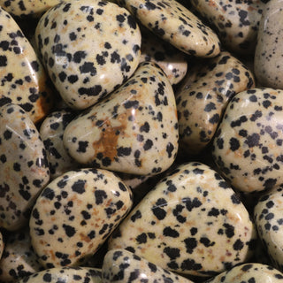 Dalmatian Jasper Tumbled Stones    from Stonebridge Imports
