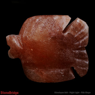 Himalayan Salt Night Light - Fish    from Stonebridge Imports