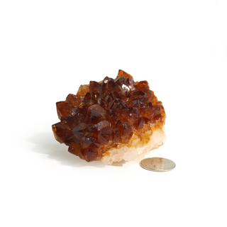 Citrine Cluster #1 - 1" to 2"    from Stonebridge Imports