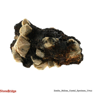 Orthoclase on Aegirine/ Zomba Malosa U#22    from Stonebridge Imports
