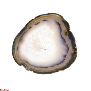 Agate Slices - 6" to 7 1/4"    from Stonebridge Imports