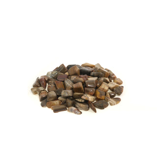 Petrified Wood Tumbled Stones - Madagascar Small   from Stonebridge Imports