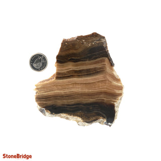 Calcite Chocolate Slice #1    from Stonebridge Imports