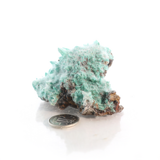 Kobyashevite Mineral Specimen U#06    from Stonebridge Imports
