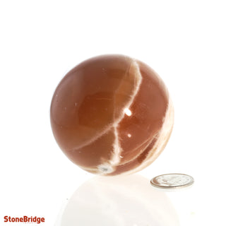 Calcite Honey Sphere - Small #1 - 2 1/4"    from Stonebridge Imports
