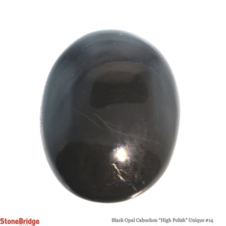 Black Opal Cabochon  Polish U#14    from Stonebridge Imports
