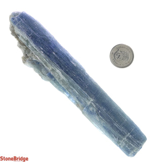 Kyanite Blue/Green Blades - Extra Large    from Stonebridge Imports