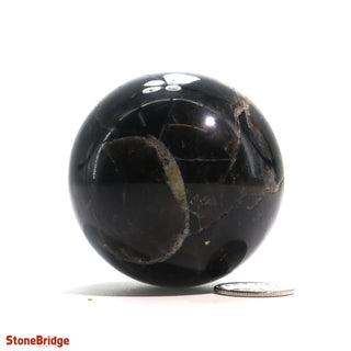 Smoky Quartz Dark Sphere - Extra Small #4 - 2"    from Stonebridge Imports
