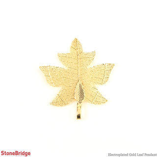 Electroplated Jewelry Leaves - Type #14 - Gold    from Stonebridge Imports