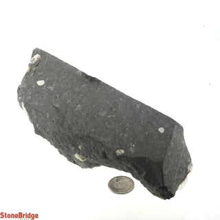 Zeolite on Basalt Cluster - APOPHYLLITE & HEULANDITE U#55    from Stonebridge Imports