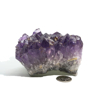 Amethyst Clusters #3 - 4" to 5"    from Stonebridge Imports