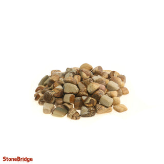 Picture Jasper Tumbled Stones X-Small   from Stonebridge Imports