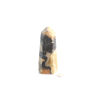 Calcite Orchid Generator #6 Tall    from Stonebridge Imports