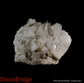 Clear Quartz Cluster U#137 - 6"    from Stonebridge Imports