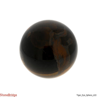 Tiger Eye Sphere - Large #3 - 3 1/4"    from Stonebridge Imports