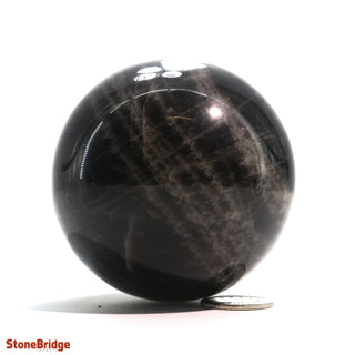 Smoky Quartz Dark Sphere - Small #3 - 2 1/4"    from Stonebridge Imports